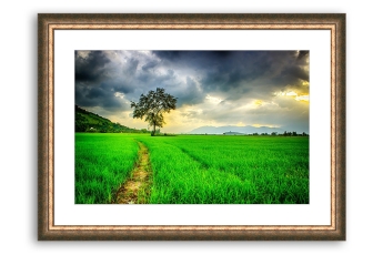 Moldura verde e dourada para quadros por medida | Quadro pronto