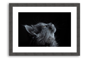 Comprar molduras por medida online | Moldura Preta | Quadro pronto