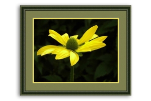 Moldura verde para puzzles por medida | Quadro pronto