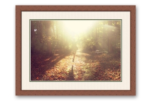 Molduras por medida | Moldura castanha bichada | Quadro pronto