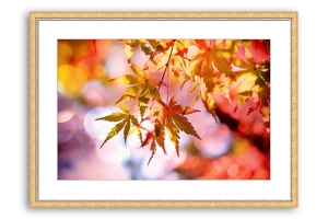 Compre molduras online | Moldura dourada com friso prata | Quadro pronto