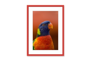 Molduras para puzzles por medida | Moldura Vermelha | Quadro pronto