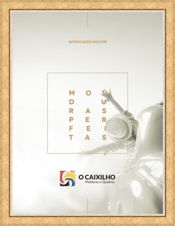 Moldura dourada com friso prata ideal para os seus posters e fotos nas medidas standard