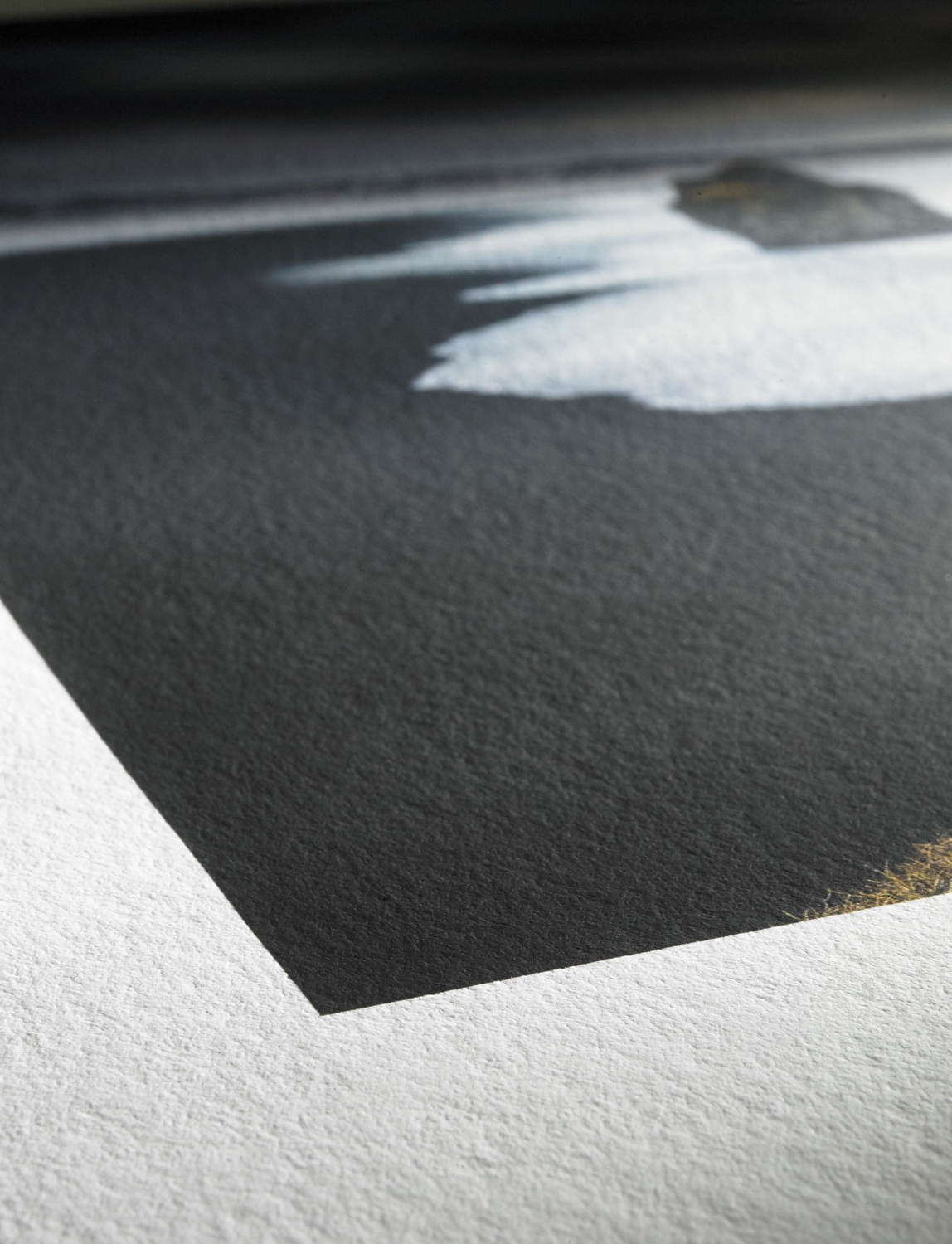 Detalhe e textura Hahnemühle Photo Rag Bright White Hahnemühle Photo Rag Bright White - Impressão Giclée em Papel FineArt
