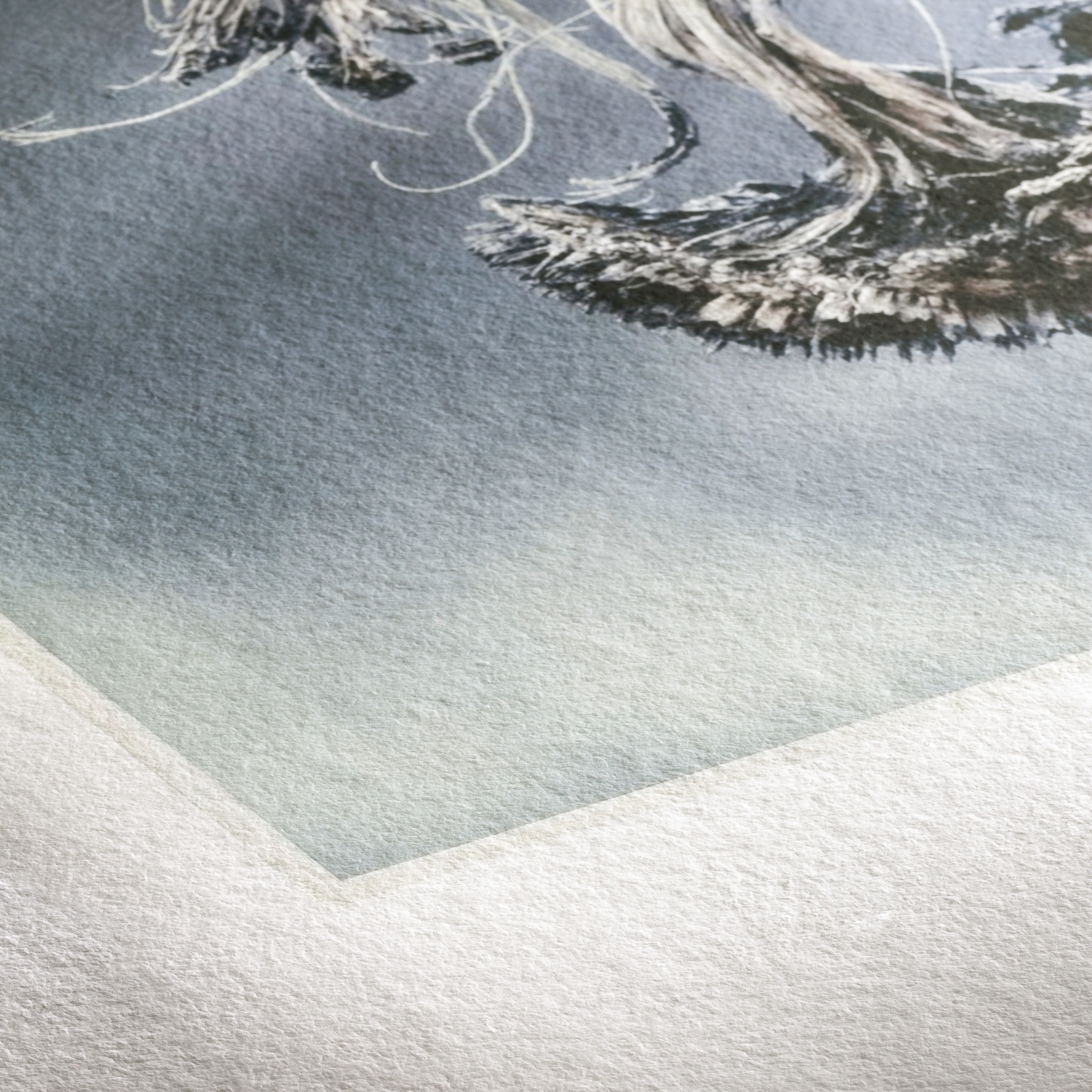 Detalhe e textura Hahnemühle Museum Etching Hahnemühle Museum Etching - Impressão Giclée em Papel FineArt